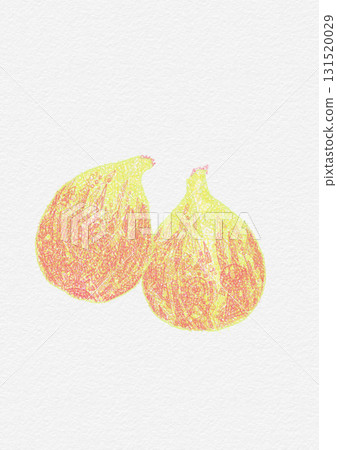 無花果 無花果 131520029