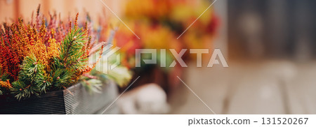 Colorful Calluna Plants In Woodem Box In Garden. 131520267