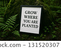 GROW WHERE YOU ARE PLANTED, Framed inspirational quote on green background emphasizing adaptability. 131520307