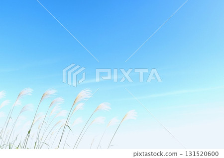 美麗的秋日風景和天空。秋天的圖像背景材料。 131520600