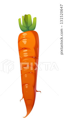 Cartoon raw ripe carrot vegetable. Isolated vector whole, orange carrot root, veggie with firm surface and green tops. Fresh, crisp and juicy farm veg with a sweet flavor and carotene vitamins 131520647
