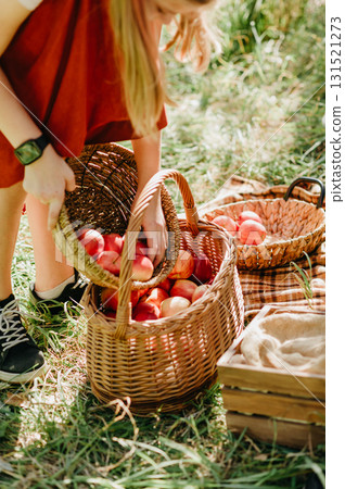Child picking apples on farm in autumn. Little girl playing in tree orchard. Healthy nutrition. Cute little girl eating red delicious fruit. Harvest Concept. Apple picking. Child picking apples on farm in autumn. Little girl playing in tree orchard. Healthy nutrition. Cute little girl eating red delicious fruit. Harvest Concept. Apple picking. 131521273
