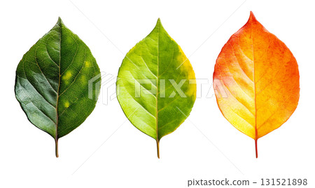 Leaves shine in vibrant autumn hues, created with AI 131521898