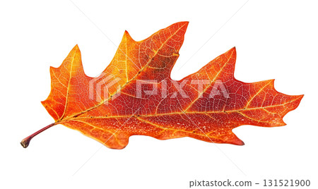 Bright orange maple leaf with detailed veins, created with AI 131521900