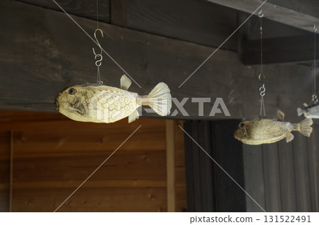 Pufferfish on the porch Pufferfish on the porch 131522491