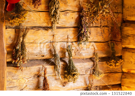 Bunches of medicinal herbs hang in a village hut against a log wall. The herbs include nettle, calendula, and chamomile, close-up 131522840