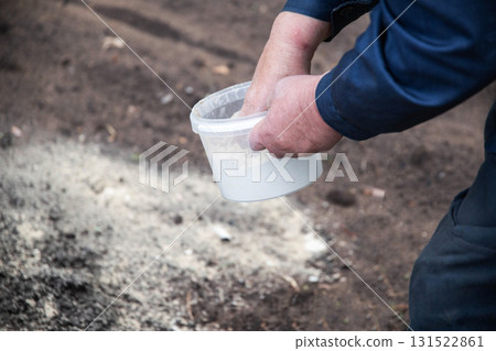 An elderly man sprays dolomite flour on acidic soil to deoxidize the soil and increase the harvest at his dacha in the spring. Copy space for text 131522861