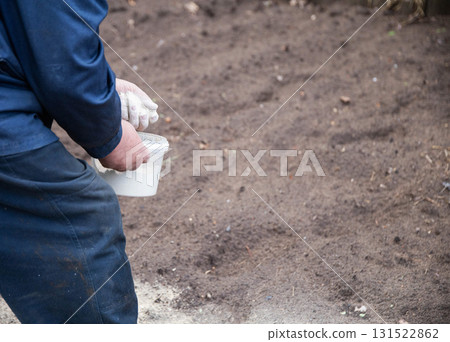 A man deacidifies the soil with dolomite flour and fertilizer in the garden in autumn. Increasing crop yields, copy space for text, summer resident 131522862