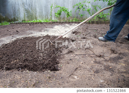 Loosening the soil with a rake and deoxidizing the soil with dolomite flour in the garden in spring, close-up. Copy space for text, neutralizing soil Loosening the soil with a rake and deoxidizing the soil with dolomite flour in the garden in spring, close-up. Copy space for text, neutralizing soil 131522866