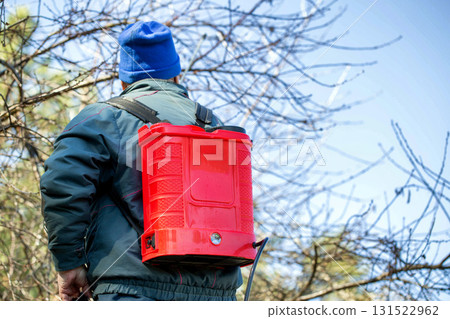 A man with a red electric sprayer treats trees and bushes in a garden on a summer cottage. Treatment of trees with copper sulfate in spring. Copy space for text A man with a red electric sprayer treats trees and bushes in a garden on a summer cottage. Treatment of trees with copper sulfate in spring. Copy space for text 131522962