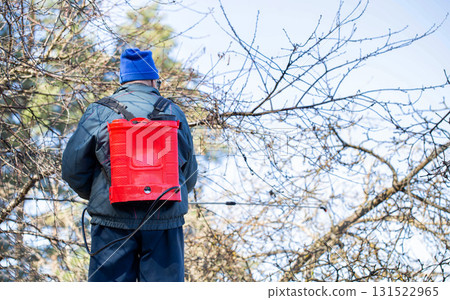 A retired man treats trees and bushes with an electric sprayer against pests and diseases in the spring, background. Copy space for text A retired man treats trees and bushes with an electric sprayer against pests and diseases in the spring, background. Copy space for text 131522965