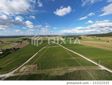 Trois-Puits, Reims, Marne, Grand-Est, France, August, 28th, 2025, Champagne Area, A Truly Stunning 131523335