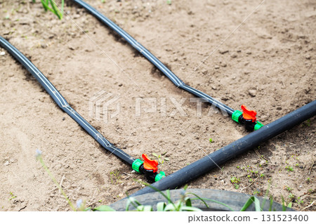 Modern drip irrigation system in a garden bed, close-up 131523400