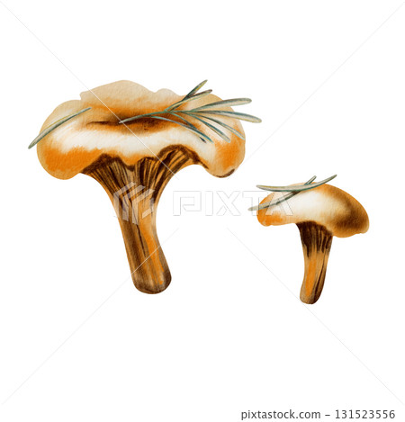 Whimsical chanterelle mushrooms with needles and a tiny twig evoking autumns charm,in soft watercolor washes and playful colored pencil strokes.For storytelling in childrens books and nature-themed Whimsical chanterelle mushrooms with needles and a tiny twig evoking autumns charm,in soft watercolor washes and playful colored pencil strokes.For storytelling in childrens books and nature-themed 131523556