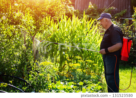 A male summer resident with a red modern sprayer treats tomatoes in the summer to stimulate growth and fruiting. Copy space for text, industry 131523580