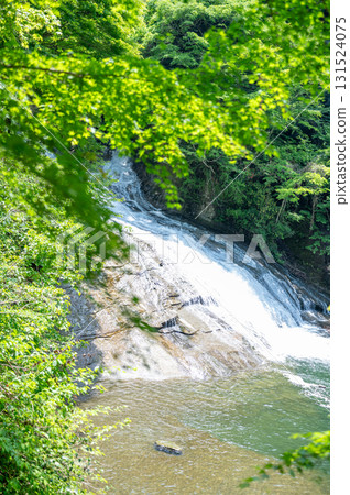 美麗的綠色山谷 131524075