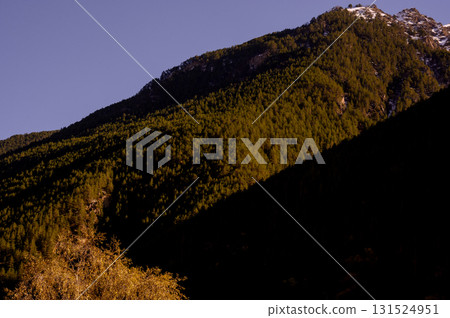 A steep mountain slope covered with dense coniferous forest A steep mountain slope covered with dense coniferous forest 131524951