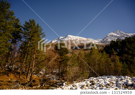 View of the mountain range from the forest 131524959