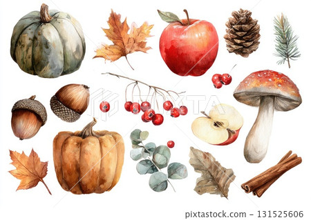 Colorful autumn harvest illustration featuring pumpkins, leaves, apples, and mushrooms with copy space 131525606