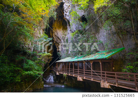 Entrance of Akiyoshi-dong Entrance of Akiyoshi-dong 131525665