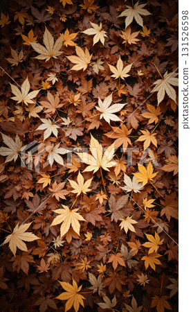 秋天的落葉散落一地 131526598