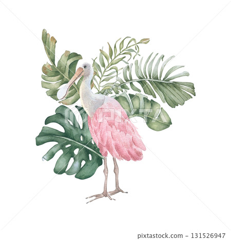 Tropical bird in jungle greenery watercolor pastel colors isolated on white. Monstera, areca palm leaves and pink spoonbill hand painted watercolor. Exotic bird in foliage for beach wedding design. 131526947