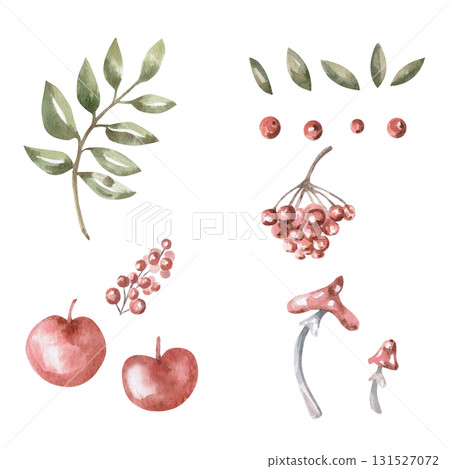 A set of branches, leaves, berries, apples, and fly agarics. Isolated watercolor illustration for children's educational materials, printing on postcards, fabric, books, and children's room design. 131527072