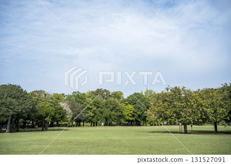 草坪廣場廣場草坪樹木公園圖像 131527091