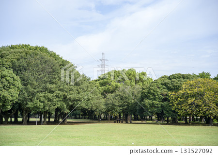草坪廣場廣場草坪樹木公園圖像 131527092