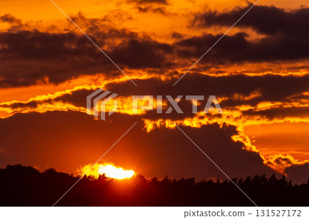 Stunning sunset over the horizon with vibrant colors illuminating the clouds and silhouettes of trees Stunning sunset over the horizon with vibrant colors illuminating the clouds and silhouettes of trees 131527172