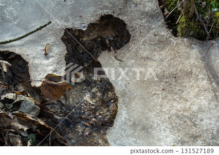 Melting snow reveals small stream and autumn leaves in natural setting during early spring 131527189