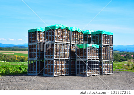Potato Harvesting Container 131527251