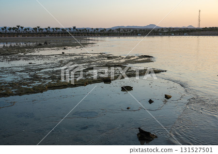 Sunset View Over Marsa Alam Lagoon and Pier 131527501