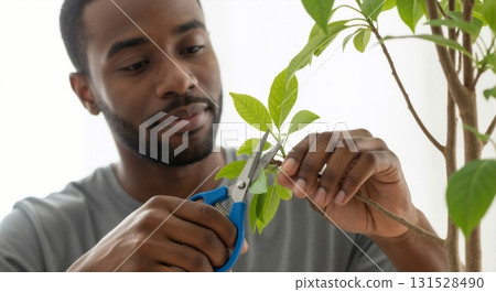 Close up of an African American man pruning an indoor plant with shears. Home gardening and plant care hobby. Male focused on trimming green leaves 131528490