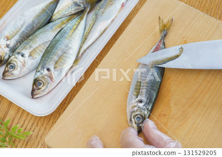 Filleting horse mackerel | Removing the scales 131529205