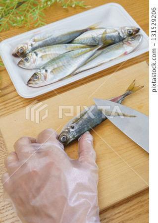 Filleting horse mackerel | Removing the scales Filleting horse mackerel | Removing the scales 131529206
