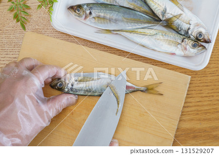 Filleting horse mackerel | Removing the scales Filleting horse mackerel | Removing the scales 131529207
