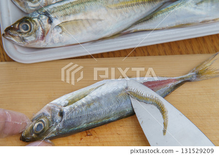 Filleting horse mackerel | Removing the scales 131529209