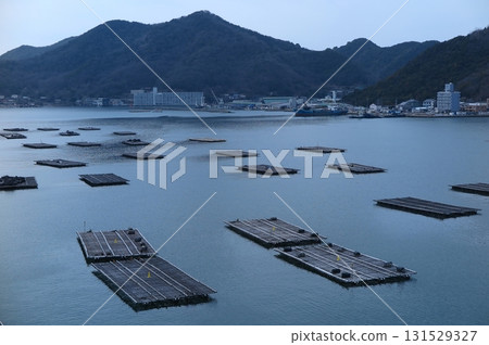 A bird's-eye view of the Harima Sea, lined with oyster farming rafts 131529327