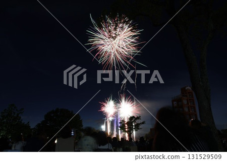 Fireworks blooming in the summer night sky 131529509