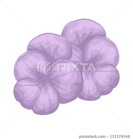 Illustration of purple flower  131529548
