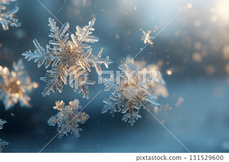 雪花 雪花 131529600