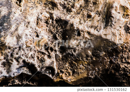 The stone surface is filled with mineral inclusions The stone surface is filled with mineral inclusions 131530162