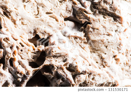 The texture of the stone consists of small fragments 131530171