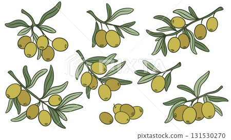 Hand drawn olive branches with fruits set 131530270