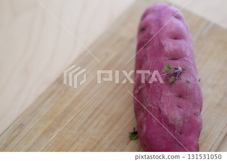 Sweet potatoes with buds Sweet potatoes with buds 131531050
