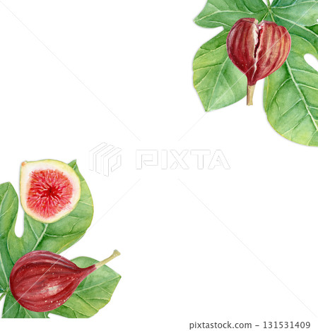 Figs and fig leaves watercolor square frame. Hand-painted botanical illustration isolated on white. Perfect for food packaging, kitchen prints, cards, invitations, organic branding, natural design 131531409