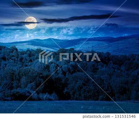 forest on the hill in rural area of mountains in autumn at night. wonderful scenery of countryside district in full moon light. deciduous trees near grassy meadow in september forest on the hill in rural area of mountains in autumn at night. wonderful scenery of countryside district in full moon light. deciduous trees near grassy meadow in september 131531546