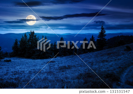 fir trees on a meadow down the hill to coniferous forest in mountains at night. highland landscape under cloudy sky in early autumn in full moon light fir trees on a meadow down the hill to coniferous forest in mountains at night. highland landscape under cloudy sky in early autumn in full moon light 131531547