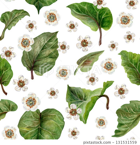 White blooming flowers, green kiwi leaves on a seamless pattern on a white background. Spring botanical template for home, children's, kitchen textiles, wrapping, wallpapers, for drinks, food design White blooming flowers, green kiwi leaves on a seamless pattern on a white background. Spring botanical template for home, children's, kitchen textiles, wrapping, wallpapers, for drinks, food design 131531559